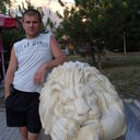  ,   , 52 ,  