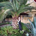 ���������� ���������, ���� ������� ����������, 43 ����, ������������ ��� ����� � ���������, c�������� ���������