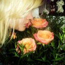 ���������� ��������, ���� ������� ��������, 31 ���, ������������ 