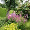  ,   Larisa, 63 ,     , c , 