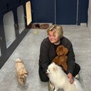  ,   , 20 ,   ,   , c , 