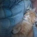  ,   , 26 ,   ,   , c , 