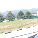 ���������� ��������, ���� ������� ���������, 38 ���, ������������ ��� ������, ����� � ���������