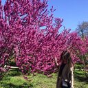 ���������� �����-���������, ���� ������� �����, 25 ���, ������������ ��� ������, ����� � ���������