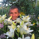  ,   , 71 ,   