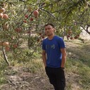 ���������� ����������, ���� ������� ����, 28 ���, ������������ ��� ������, ����� � ���������