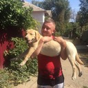 ���������� ������, ���� ������� ���������, 37 ���, ������������ ��� ������, ����� � ���������, c�������� ���������