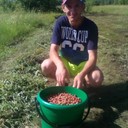 ���������� �������, ���� ������� ���������, 38 ���, ������������ ��� ����� � ���������, c�������� ���������, ���������