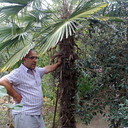 ���������� ������, ���� ������� ������, 58 ���, ������������ ��� ������, ����� � ���������, c�������� ���������