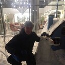 ���������� ������, ���� ������� ������, 42 ����, ������������ 