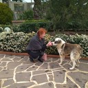 ���������� ������ ���, ���� ������� ������, 62 ����, ������������ ��� ������, ����� � ���������, c�������� ���������