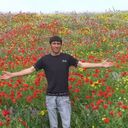 ���������� �������, ���� ������� �����, 40 ���, ������������ ��� ������, ����� � ���������