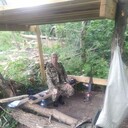  ,   Rostislav, 50 ,     , c 