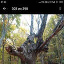  ,   , 37 ,   ,   , c 