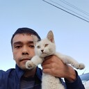 ���������� �������, ���� ������� Alisher, 34 ����, ������������ 