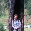  ,   , 66 ,  
