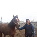 ���������� �����, ���� ������� ��i�, 39 ���, ������������ ��� ������, ����� � ���������, c�������� ���������