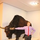 ���������� �����-��������, ���� ������� ���������, 38 ���, ������������ ��� ������, ����� � ���������, c�������� ���������, ���������