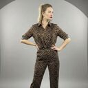 ���������� ������, ���� ������� ���������, 34 ����, ������������ ��� ������, ����� � ���������