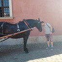  ,   Evgeniy, 44 ,  