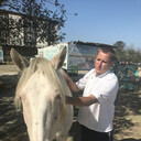 ���������� �����, ���� ������� �����, 41 ���, ������������ ��� ������, ����� � ���������, c�������� ���������, ���������