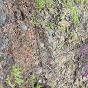 ���������� �������, ���� ������� ������, 38 ���, ������������ ��� c�������� ���������