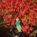 ���������� �����, ���� ������� �����, 43 ����, ������������ ��� ������, ����� � ���������, c�������� ���������