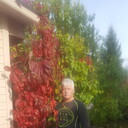 ���������� ������, ���� ������� ���������, 59 ���, ������������ ��� ������, ����� � ���������, c�������� ���������