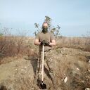 ���������� ����������, ���� ������� ������, 38 ���, ������������ ��� ������, ����� � ���������, ���������