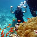 ���������� �������������, ���� ������� ���, 44 ����, ������������ ��� ������, ����� � ���������, c�������� ���������