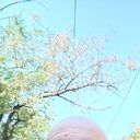 ���������� ������, ���� ������� ��������, 61 ���, ������������ ��� c�������� ���������