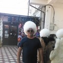  ,   , 50 ,  