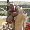  Sidon,   , 60 ,   ,   , c , 