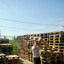 ���������� �����, ���� ������� ������, 31 ���, ������������ ��� ������, ����� � ���������, c�������� ���������, ���������