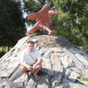  ,    nfy, 40 ,   