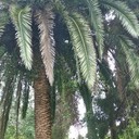  ,    , 33 ,   ,   , c 
