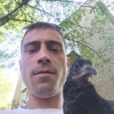 ���������� ������, ���� ������� �������, 38 ���, ������������ ��� ������, ����� � ���������, ���������