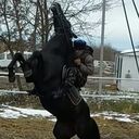 ���������� �������, ���� ������� �����, 35 ���, ������������ ��� ����� � ���������