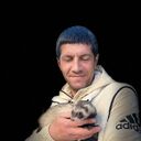 ,   , 44 ,   ,   
