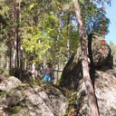 ���������� ����������, ���� ������� ����, 49 ���, ������������ ��� ������, ����� � ���������, c�������� ���������