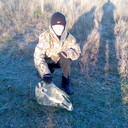 ���������� �������, ���� ������� �������, 37 ���, ������������ ��� ������, ����� � ���������, c�������� ���������