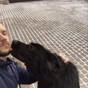 ���������� ����������, ���� ������� ����, 40 ���, ������������ ��� ������, ����� � ���������, c�������� ���������