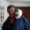  ,   , 66 ,     , c 