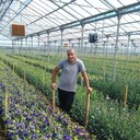 ���������� ������������, ���� ������� Aikaz, 45 ���, ������������ ��� ������, ����� � ���������