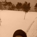  ,   Gio gio, 29 ,   ,   , c 