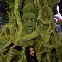  ,   Annet, 24 ,   ,   , c 
