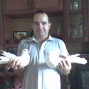  ,   , 52 ,   
