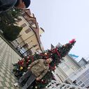 ���������� ������, ���� ������� Anvar, 37 ���, ������������ ��� ������, ����� � ���������