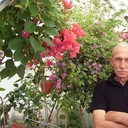  ,   , 59 ,  