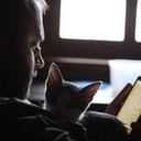 ���������� �����, ���� ������� ������, 44 ����, ������������ ��� ������, ����� � ���������, c�������� ���������